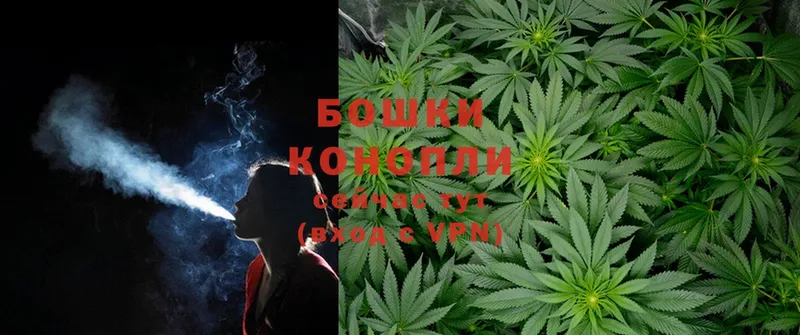 как найти закладки  Полярные Зори  Шишки марихуана White Widow 